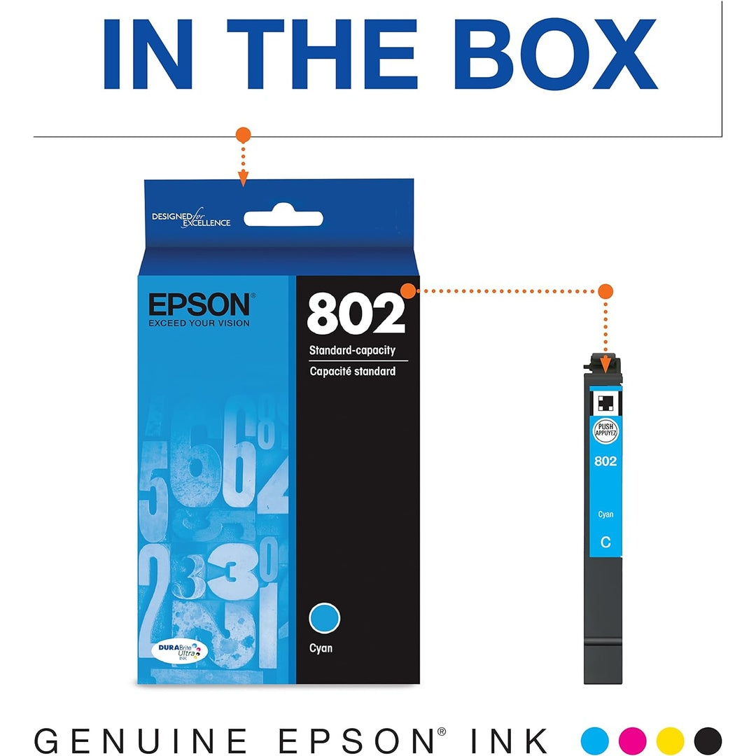 Epson T802XL x T802 - Set
