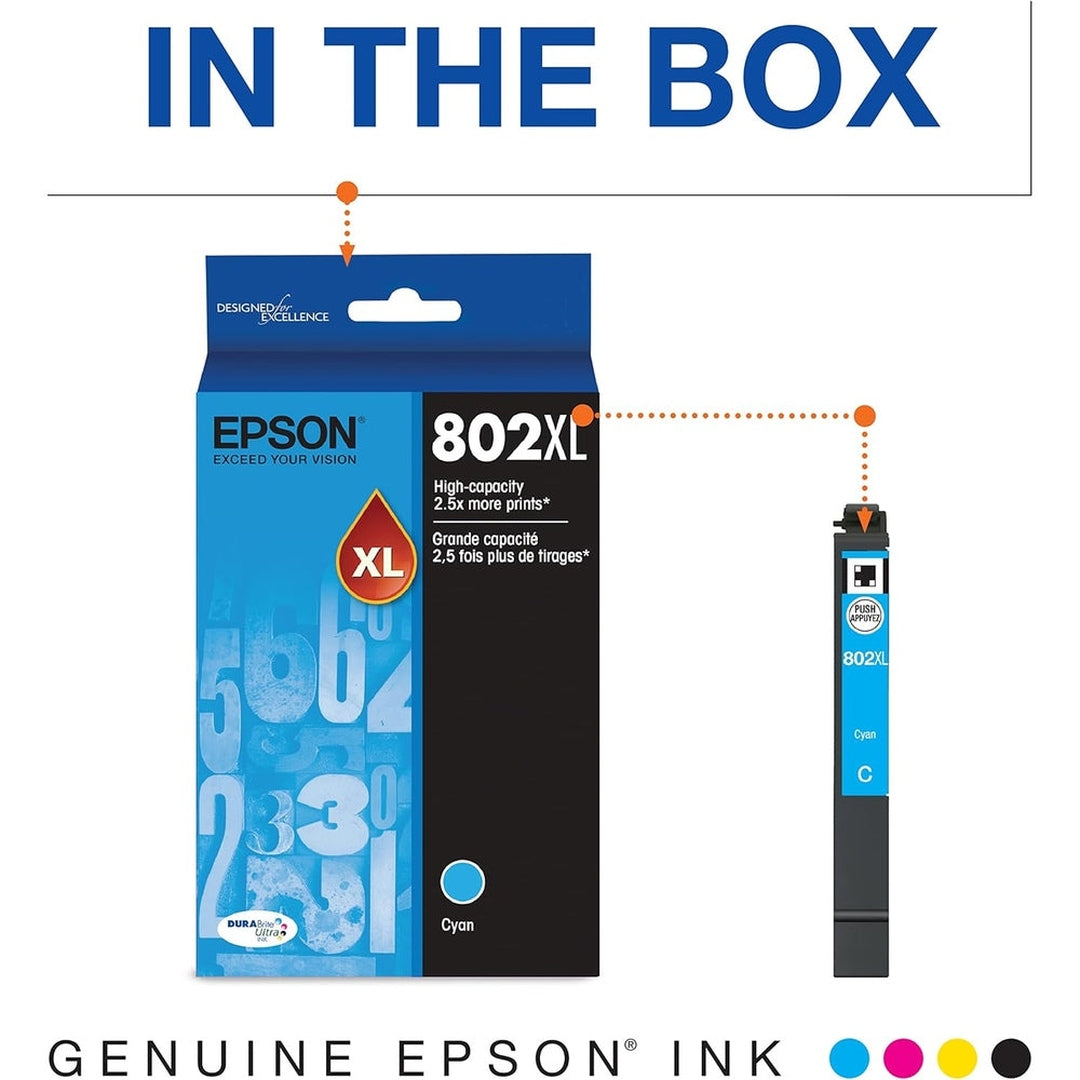 Epson T802XL x T802 Set